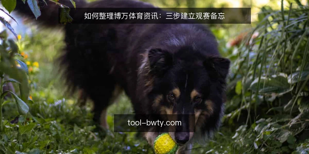 如何整理博万体育资讯：三步建立观赛备忘 — 先盯哪些信号：博万体育资讯的现场观察点 配图