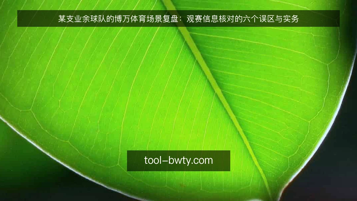 某支业余球队的博万体育场景复盘:观赛信息核对的六个误区与实务